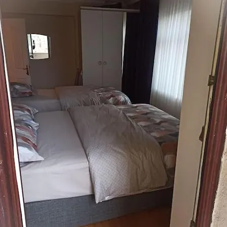 3+1 Stylish Furnished And Spacious In The Center Of * איסטמבול